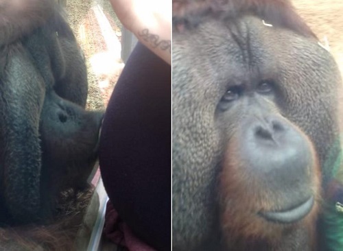 �ȴ������të�����ɫI���ЋD����